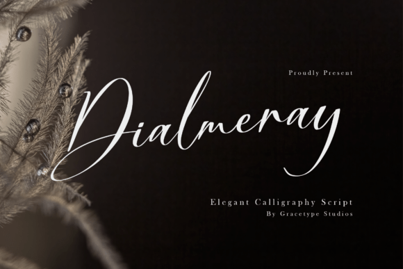Dialmeray: The Elegant Script Font for Luxury Branding