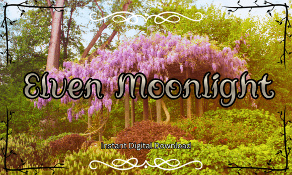 Elven Moonlight Font for Magical Craft Designs