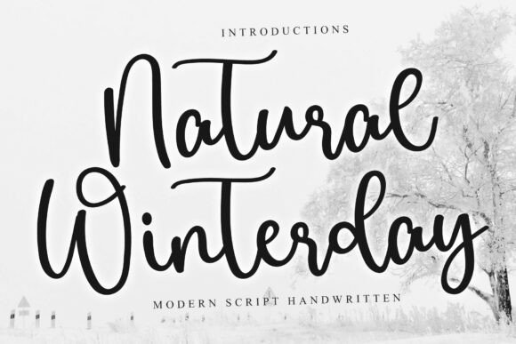 Natural Winterday: A Cozy Script Typeface for Editors